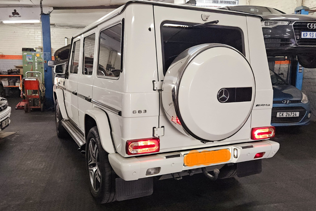 Untitled design (14)