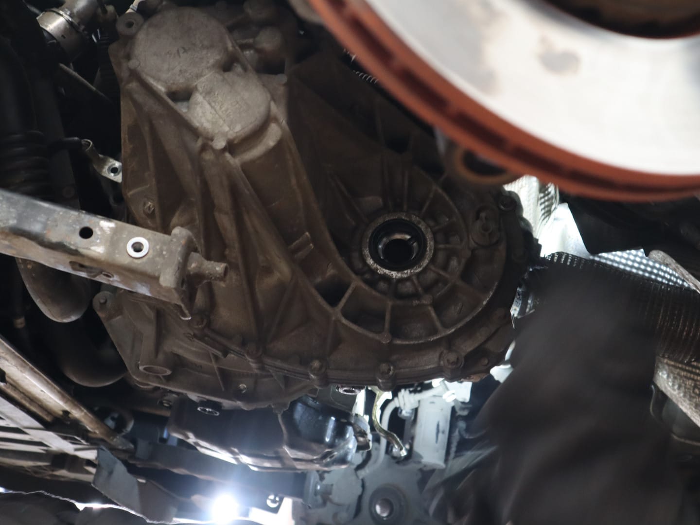 WhatsApp Image 2024-11-04 at 07.41.22